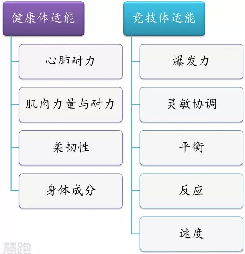 篮球教练如何为不同年龄段的球员制定战术训练方案?_1